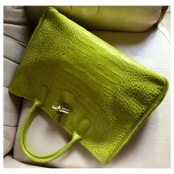 Longchamp SAC EN CUIR DE VEAU FRAPPÉ CROCO ANIS -Style Mix Soldes 253157 3