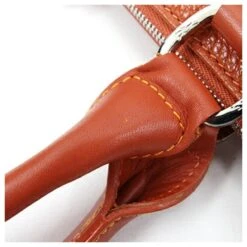 LONGCHAMP Orange 14 LONGCHAMP Orange -Style Mix Soldes 845748 6